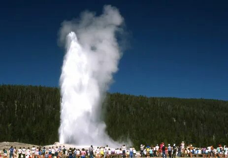 Old faithful