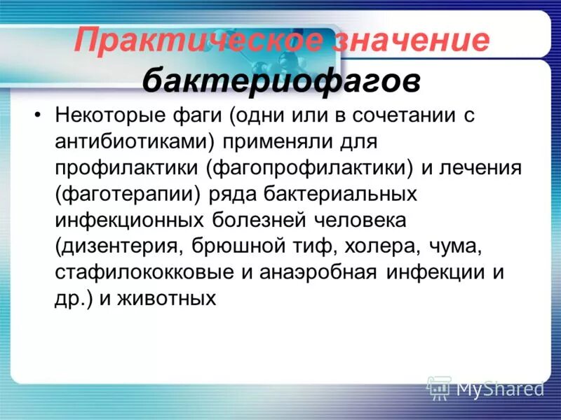 Вирусы и бактериофаги презентация. Какое значение имеют бактериофаги для человека. Какое значение бактериофаги для человека. Использование бактериофагов в микробиологии и медицине. Медицинское значение бактериофагов.
