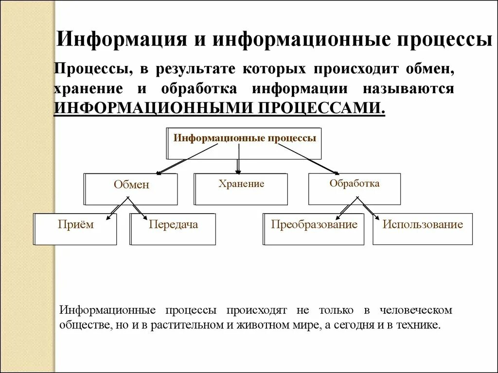 Информация и информационные технологии обществознание. Информационные процессы. Информация и информационные процессы в технике. Информация и информационные процессы Информатика. Информационные процессы примеры.