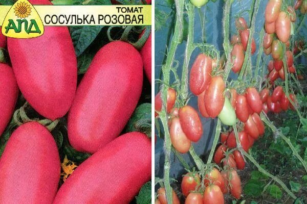 Томат сосулька розовая f1 (уд). Помидоры сосулька красная. Томат сосулька розовая отзывы. Томат сосулька розовая 20шт. Томат сосулька розовая характеристика и описание.