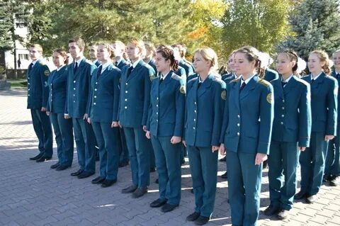 Сократ колледж в ростове