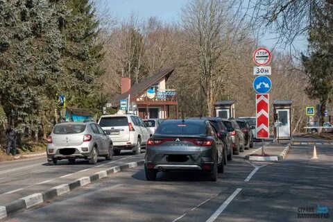 Куршская коса билеты