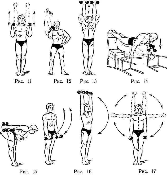 Упр с гантелями. Гантельная гимнастика для мужчин комплексы упражнений. Комплекс гантельной гимнастики для мужчин. Комплекс силовых упражнений с гантелями для мужчин. Гантельная гимнастика для мужчин после 60 лет.