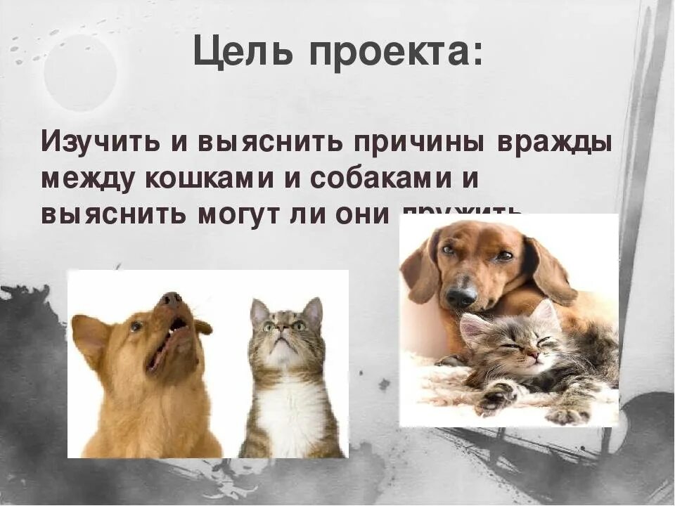 Нравится кошка собака
