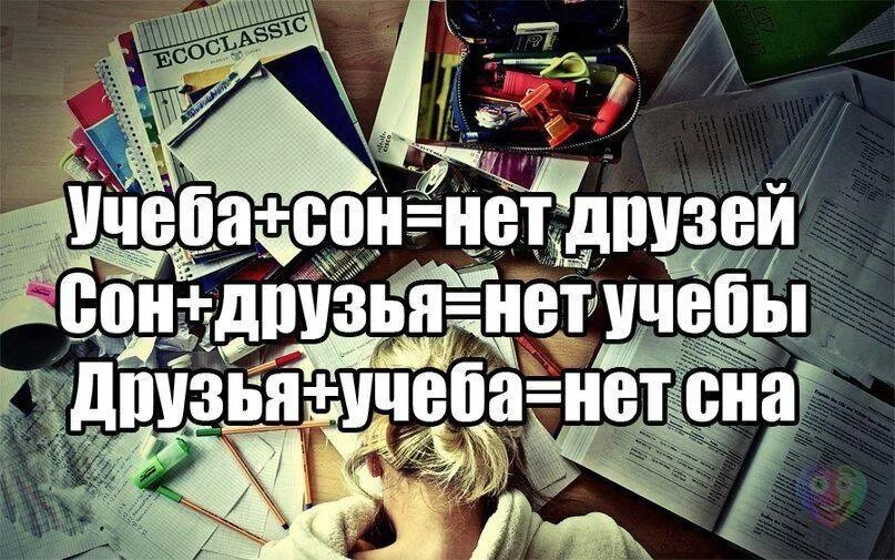 Учеба в университете текст