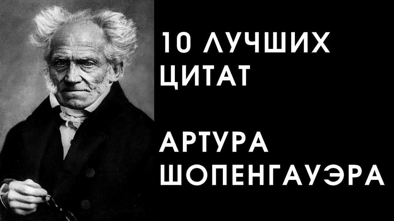 Шопенгауэр читать афоризмы. Высказывания шопенгауэра.