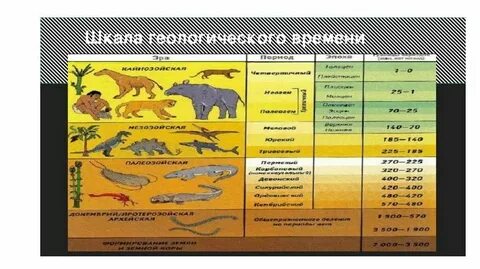Геологический период сканворд 5