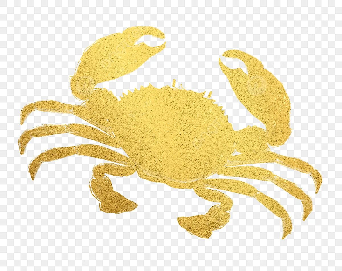 Краб силуэт. Золотой Крабик PNG. Крабик желтый милый вектор PNG. Golden Crab PNG. Золотой краб