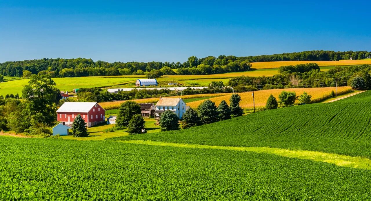 Farm yards. Крестьянская хозяйства названия работы фермах. Штат орегон сельское хозяйство. Luhovici farm. Деревенская ферма.