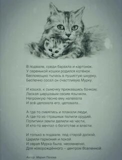 Стих дуэт