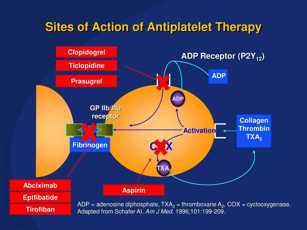 Логотип экшен. Action sites. Oral diabetic agents. Булетшторм 2. Action sites.