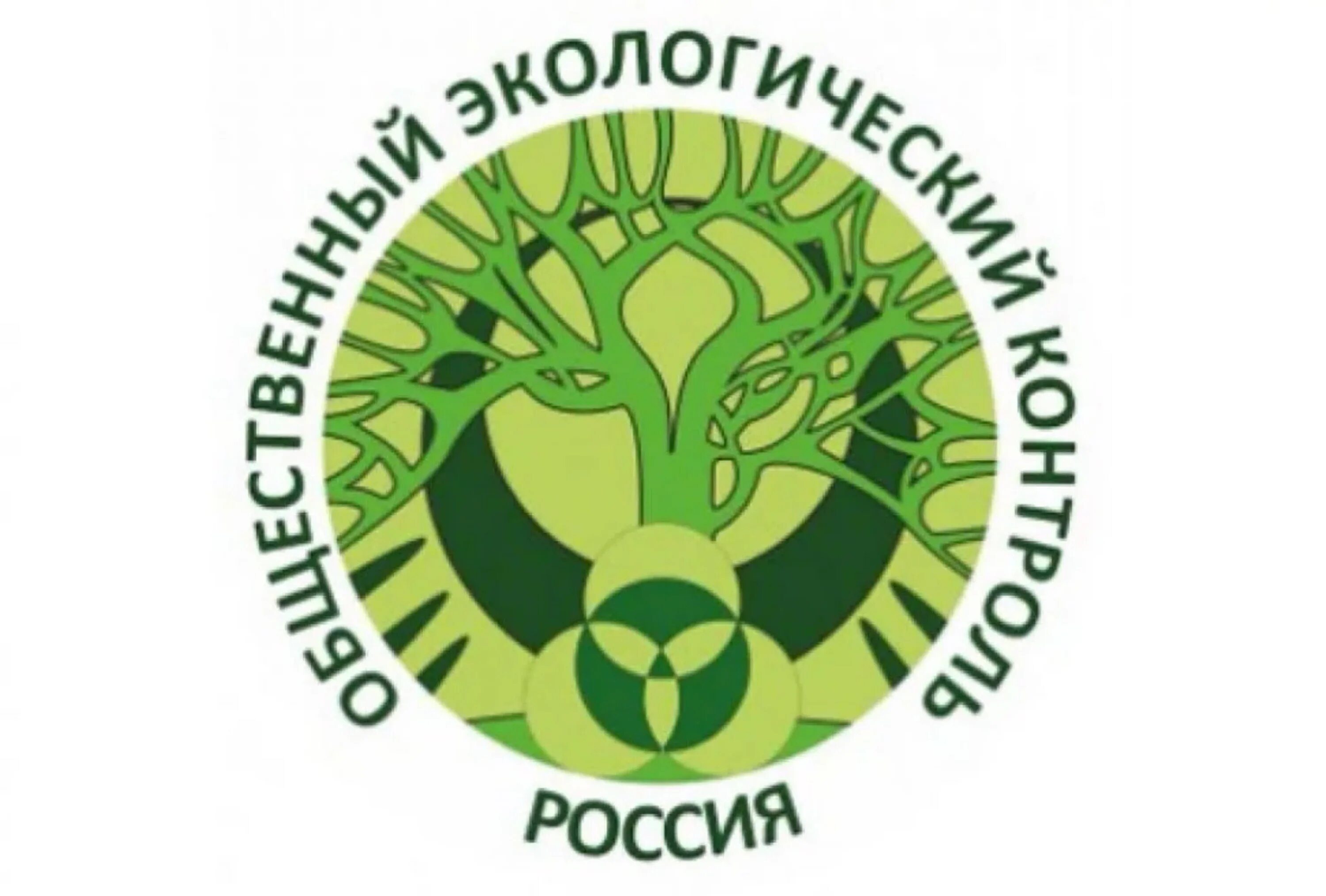 Служба общественного контроля. Государственный комитет РФ по охране окружающей среды. Экологический контроль. Общественный экологический контроль. Экологический мониторинг.защита окружающей среды.