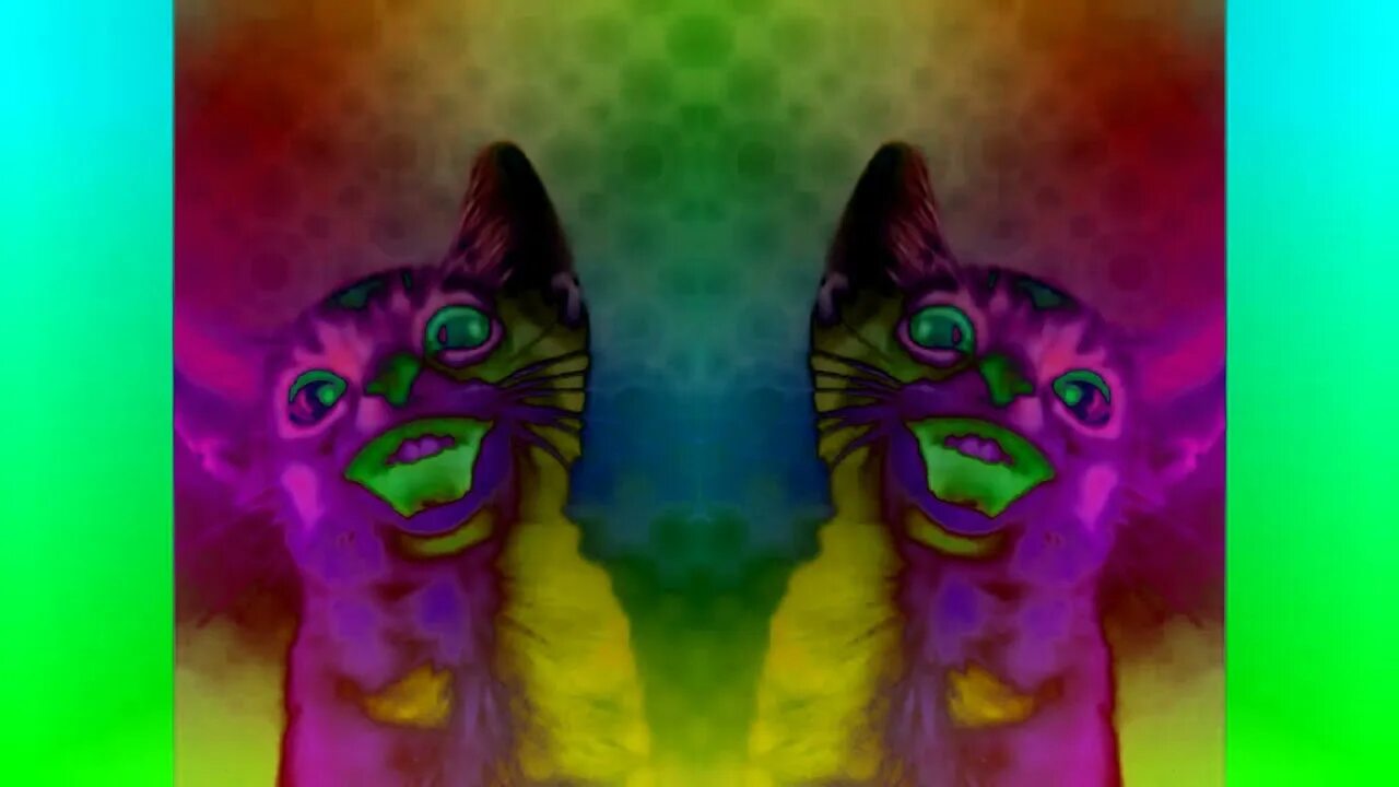 Preview 2 numa cat effects. Too many preview 2 numa cats. cat leopold and splaat talking effects sponsored by preview 2 effects. numa numa. кошка танцует.