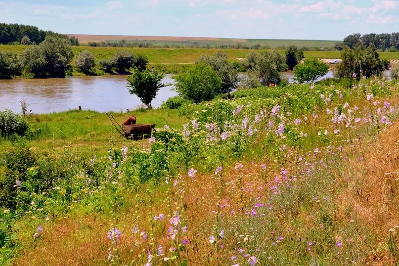 Берегите луга