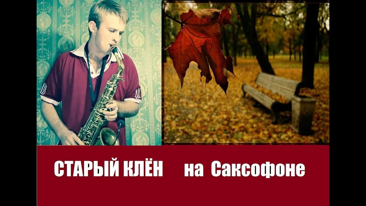 Песня клен стучит. Старый клен для саксофона. Старый клён песня. Старый клен Sax. Песни старый клен.