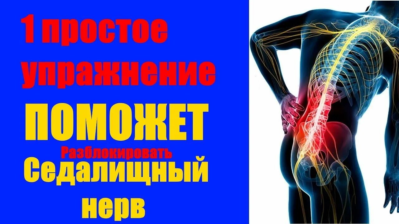 Боль в пояснице защемление седалищного. Упражнения для седалищного нерва. Защемление седалищного нерва упражнения. Упражнение для поясницы и седалищного нерва. Защемило седалищный нерв упражнения.