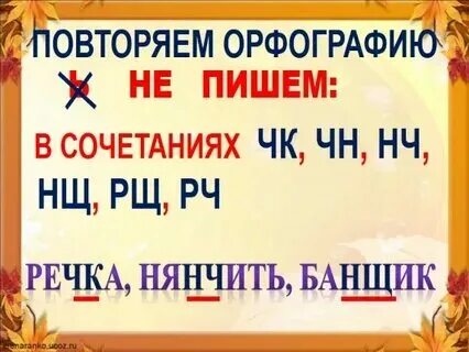 Слова с сочетаниями чк чн нщ