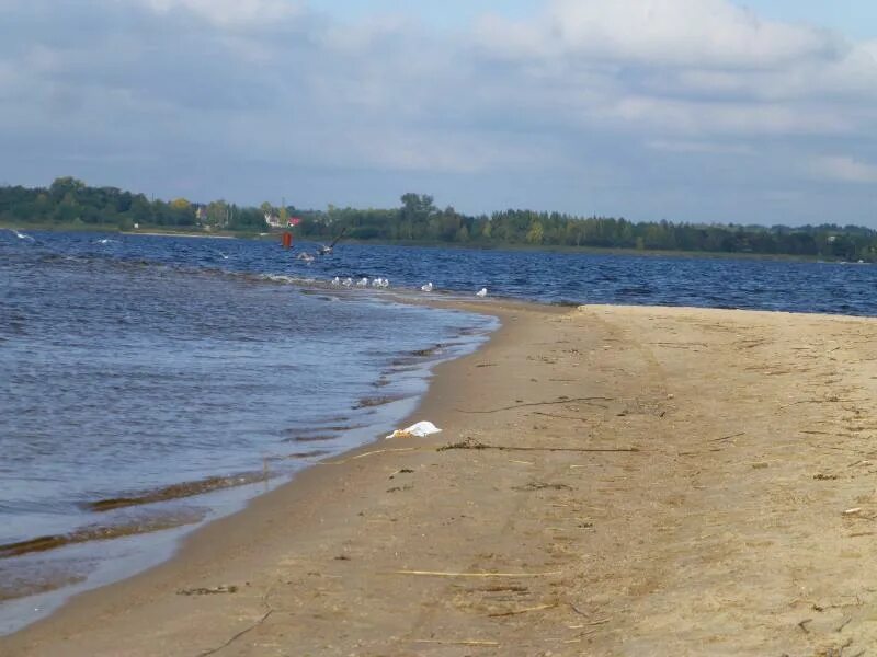 Остров Городомля на Селигере. Селигер Городомля коса. Остров Городомля пляж. Озеро Селигер остров Городомля.