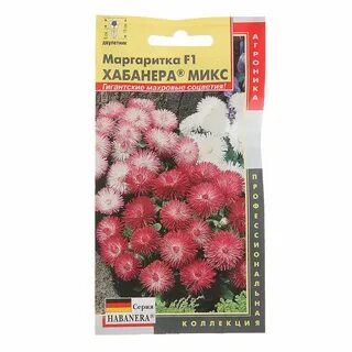 Маргаритки семена