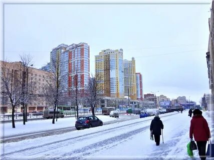 43 спб