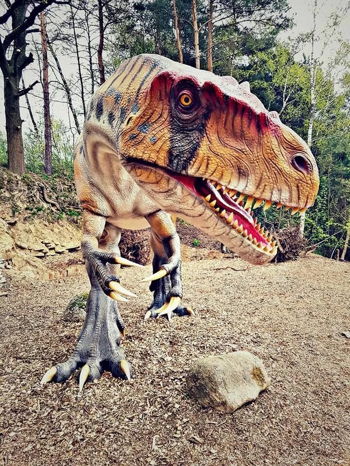 Самый крутой динозавр. Torvosaurus gurneyi. мама динозавр. крутой динозавр. яйцеголовый динозавр.