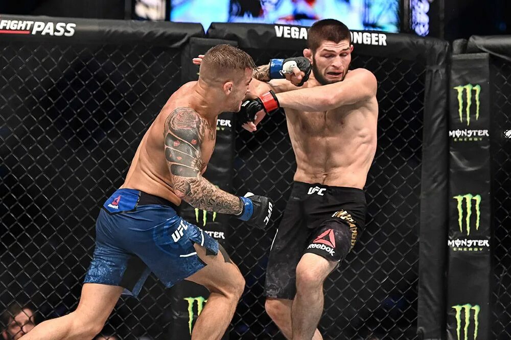 Хабиб нурмагомедов. Где ближайший бой. Ufc энтони петтис. Энтони петтис. Где ближайший бой.