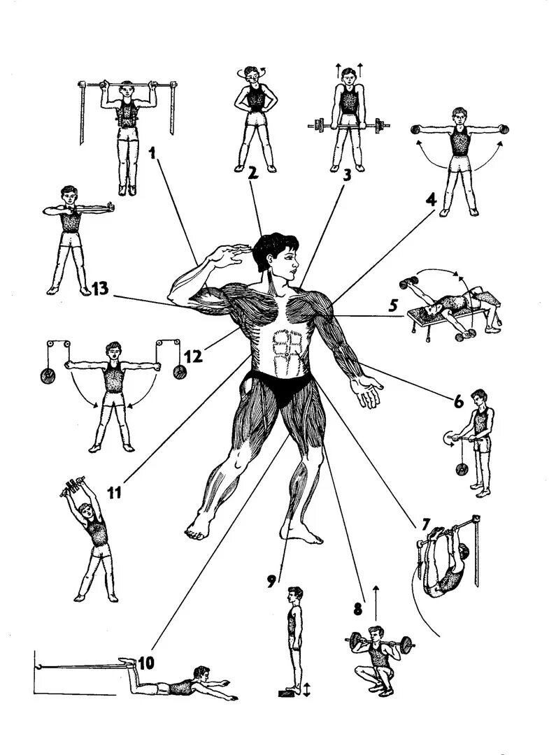 Какие упражнения для развития мышц. Упражнения с пружинным эспандером для мужчин. Упражнения с эспандером пружинным на разные группы мышц. Эспандер плечевой пружинный упражнения. Пружинный эспандер упражнения для грудных мышц.