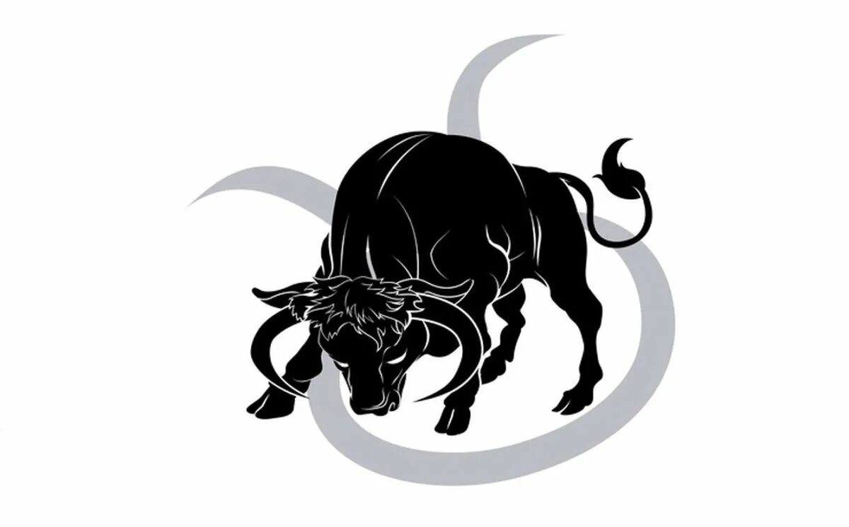 Телец черно белый рисунок. Бык женщина и скорпион мужчина. Бык женщина и скорпион мужчина. Бык женщина и скорпион мужчина. Бык стрелец.