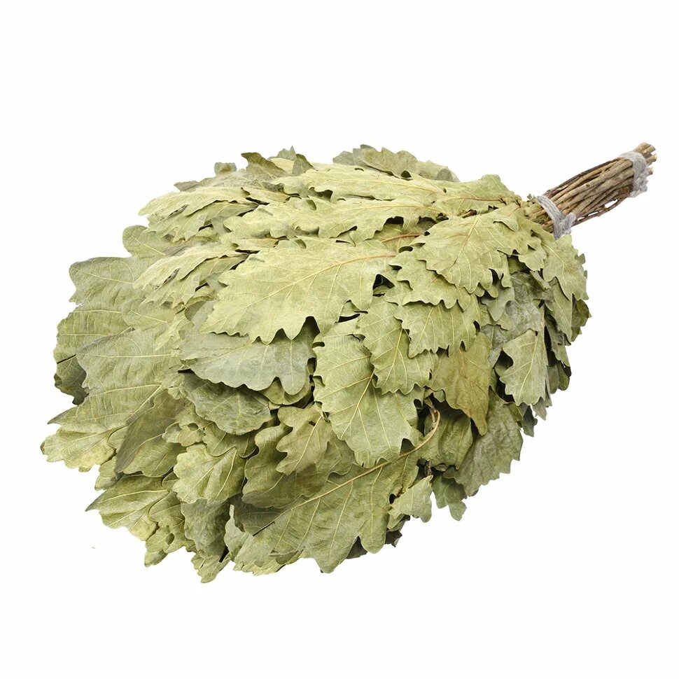 Веник дубовый богатырь бш (34151). Веник липовый банные штучки. Веники березовые дубовые липовые. Запаренные дубовые веники баня. Кавказский дуб веник.