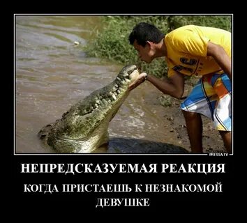 Реакция неожиданна