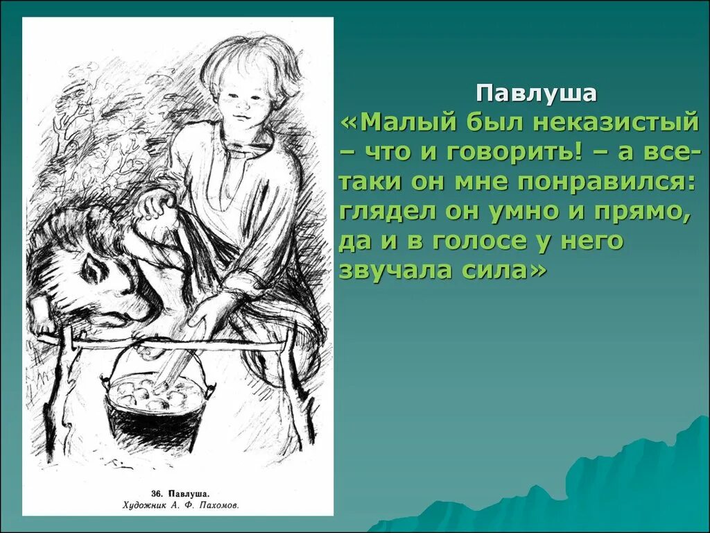 Павлуша Бежин луг портрет. Тургенев Бежин луг Павлуша. Иллюстрация Бежин луг Павлуша. Тургенев Бежин луг портрет Павлуши.