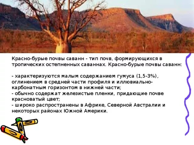 Красные ферраллитные почвы австралии. Растительность красно бурых почв. Красно бурые почвы характеристика. Красно-бурые почвы саванн. Красные ферраллитные почвы южной америки.