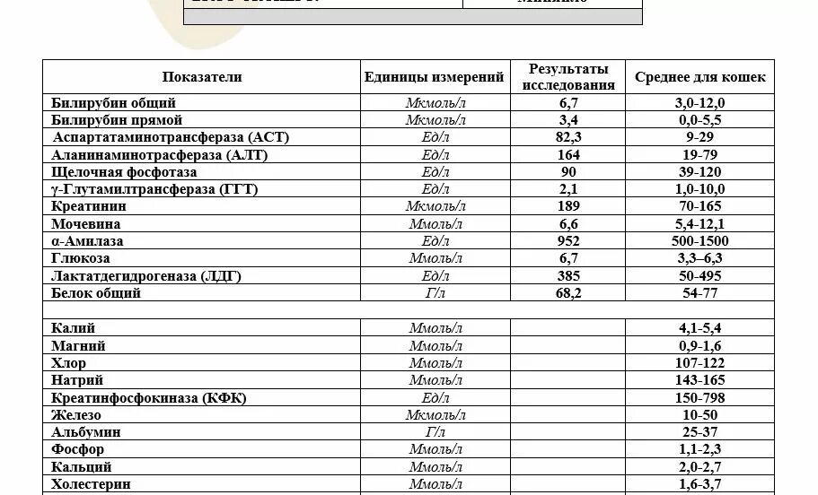 Анализ крови показатели нормы билирубин. Норма алт АСТ общего билирубина. Показатели в норме алт АСТ билирубин. Анализ крови билирубин общий норма.