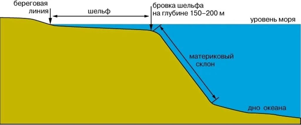 Бровка континентального шельфа. Материковая отмель шельф. Подводная окраина материков шельф. Рельеф дна мирового океана подводная окраина.