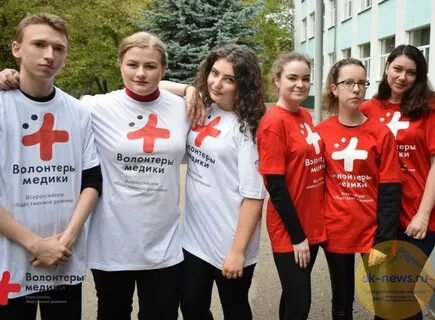 Волонтер читать