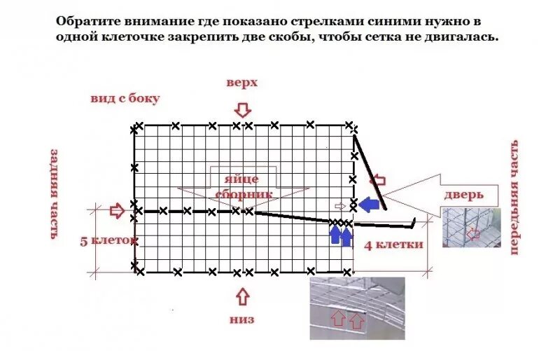 Как определить размеры клетки. Клетка для перепелов размеры чертеж на 20 голов. клетка для перепелов чертеж сетка. размеры клеток для перепелов чертеж на 30 голов. размеры клеток для перепелов чертеж на 30.