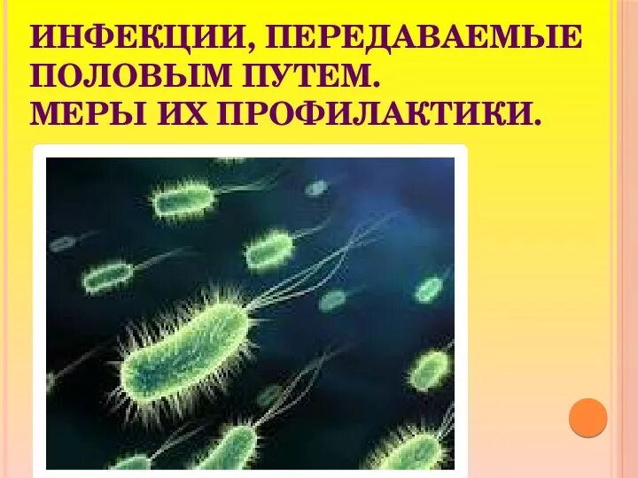 Как называются болезни передаваемые половым путем. Инфекции, передаваемые половым путём. Меры их профилактики. Инфекции передаваемые половым путем меры их профилактики. Инфекции передающиеся половымпутем и их профилактика ОБЖ.