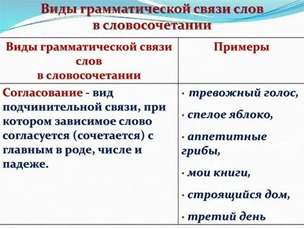 Грамматические отношения между словами