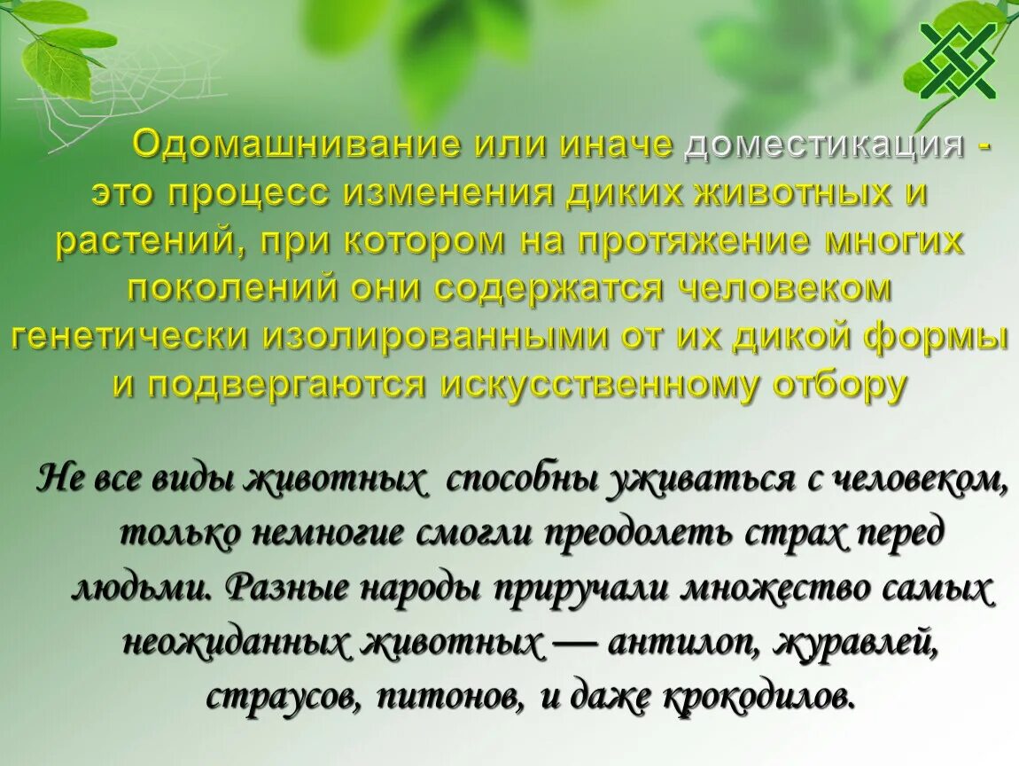 Когда начался процесс одомашнивания растений. Одомашнивание растений и животных. Процесс одомашнивания. Характеристика одомашнивания. Одомашнивания диких растений и животных.