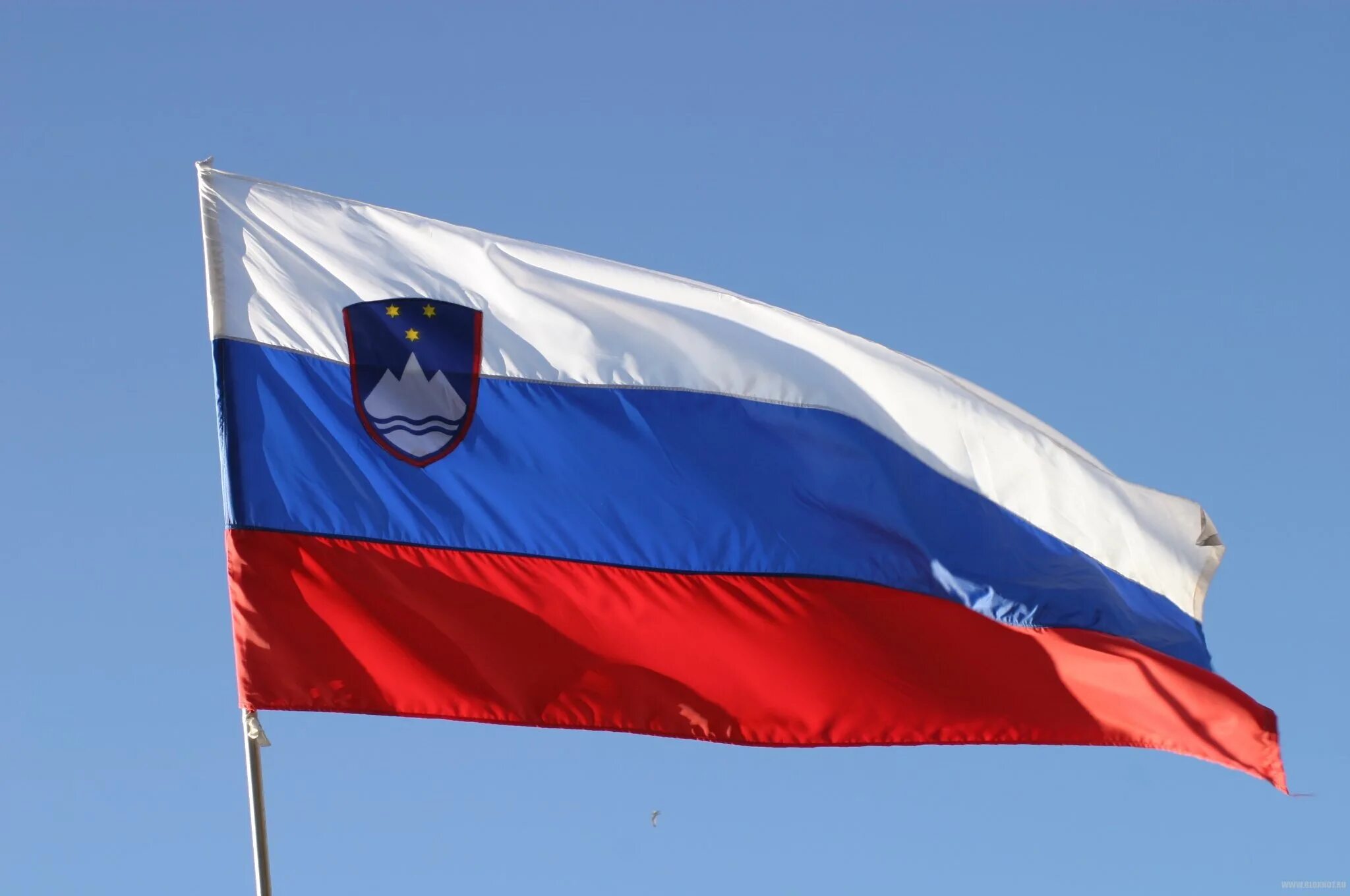 Флаг Словении. Республика Словения флаг. Словенский флаг. Флаг Словении фото. Флаг словении и словакии