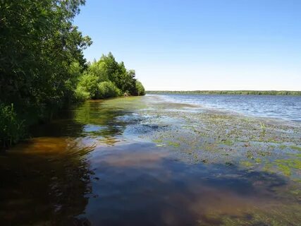 Керженский заповедник нижегородской