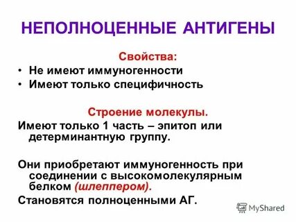 По отношению к антигену в1 справедливо утверждение