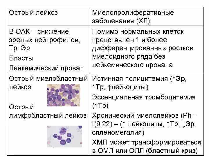 Острый лейкоз тест с ответами. Острый миелобластный лейкоз лейкоцитарная формула. Острый лимфобластный лейкоз показатели. Острый недифференцированный лейкоз анализ крови. Острый лимфобластный лейкоз анализ.