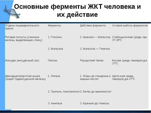 Таблица ферментов человека. Функции ферментов пищеварительной системы таблица. Ферменты пищеварительного тракта таблица. Ферменты 8 класс биология таблица. Отделы пищеварительного тракта таблица ферменты.