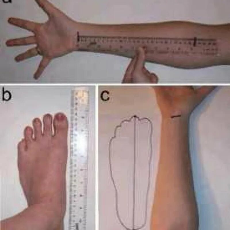 соотношение длины ноги и размера обуви. размер стелек в сантиметрах детские. обувь женская размерная сетка 41 размер. девушка измерят свои ступни линейкой. размер ноги на руке.