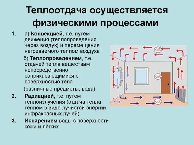 Пути передачи теплоты. Пути передачи теплоты