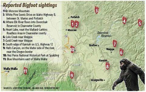Bigfoot alpha map