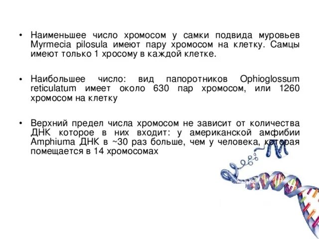 Определите число хромосом в клетках шимпанзе. Хромосомы папоротника. Количество хромосом у папоротника. Щитовник количество хромосом.