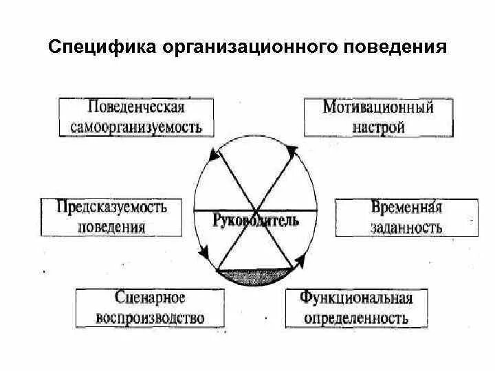 Особенности организационного поведения