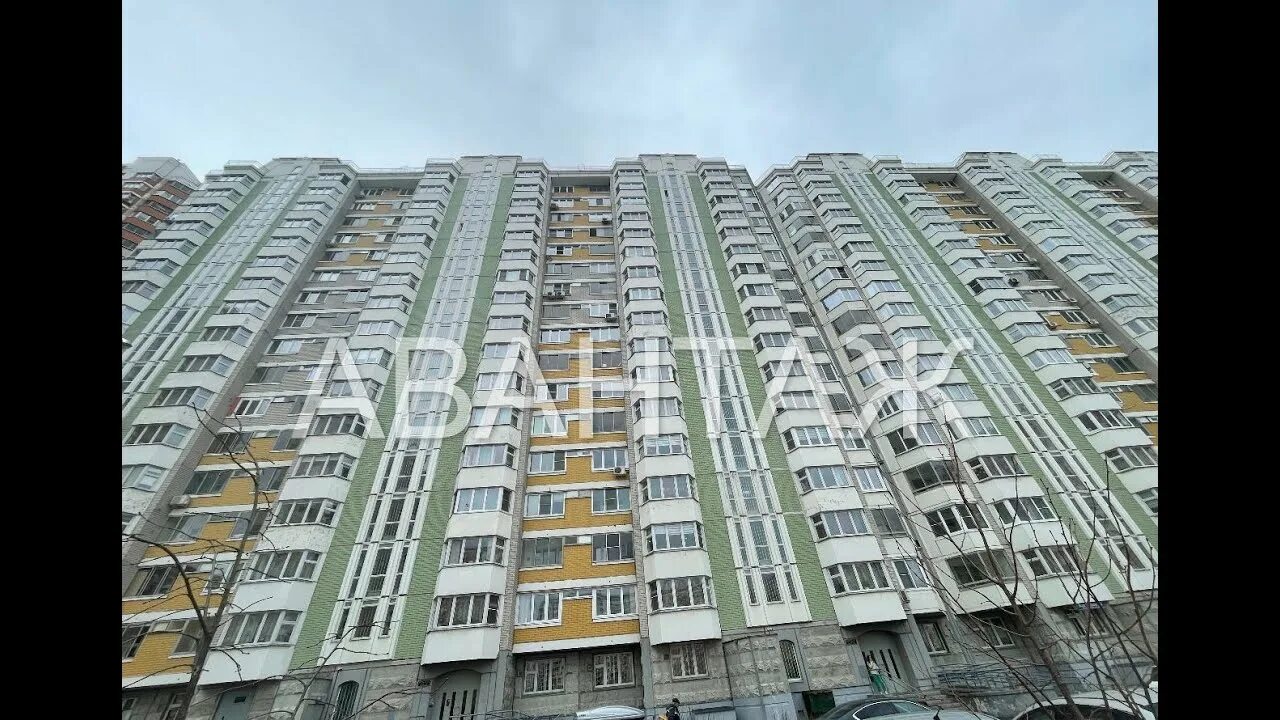 Инвитро, медицинская компания, улица Некрасова, 10, Балашиха - 2ГИС